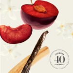 Sol de Janeiro Jet Set